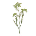 Queen Annes Lace Floral Spray Set Of 4