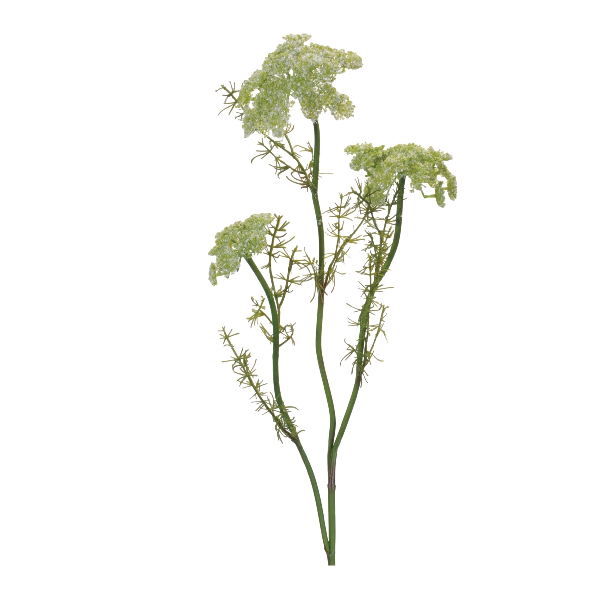 Queen Annes Lace Floral Spray Set Of 4