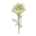 Queen Annes Lace Floral Stem Set Of 4