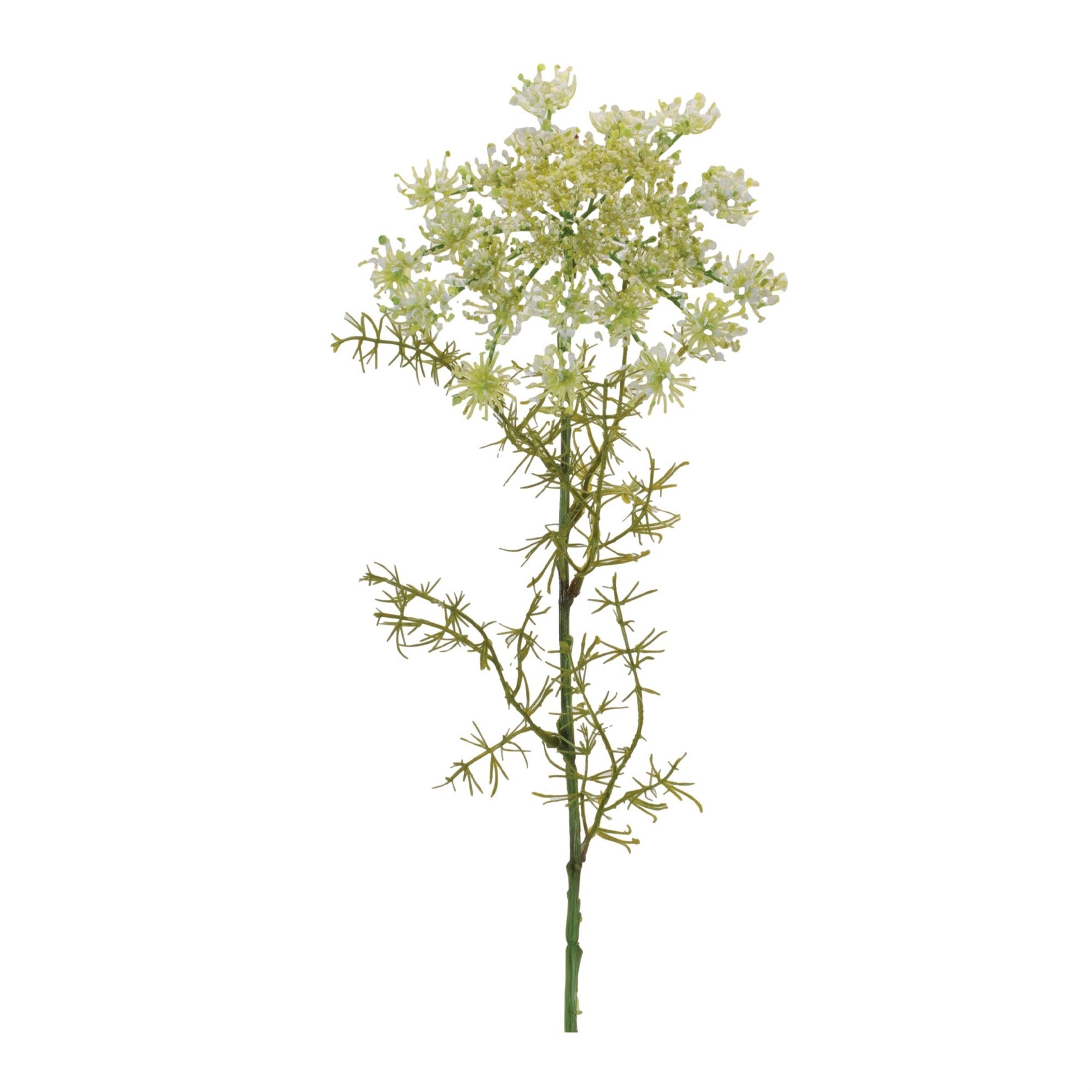 Queen Annes Lace Floral Stem Set Of 4