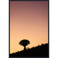 Quiver By Shot By Clint Framed Canvas Wall Art Print