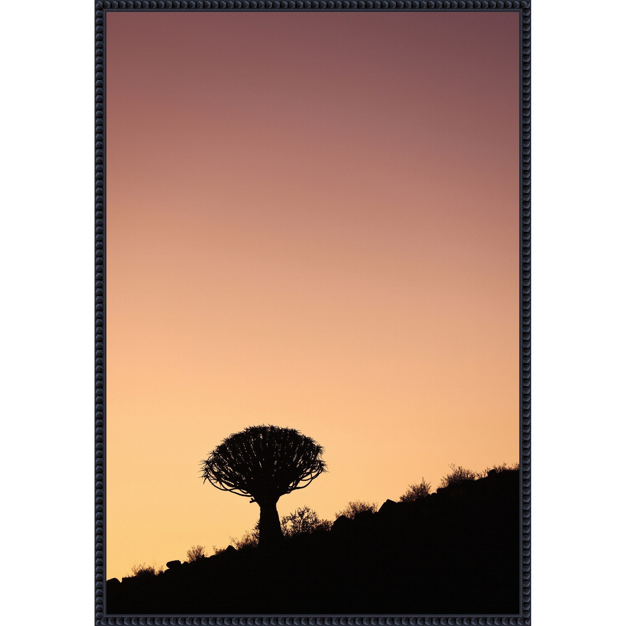 Quiver By Shot By Clint Framed Canvas Wall Art Print