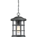 Quoizel Crusade 10 Outdoor Hanging Light