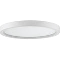Quoizel Outskirts 11 Ceiling Light