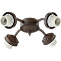 Quorum International Transitional Fan Light Kit N A