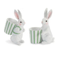 Rabbit Figurine With Planter Set Of 2