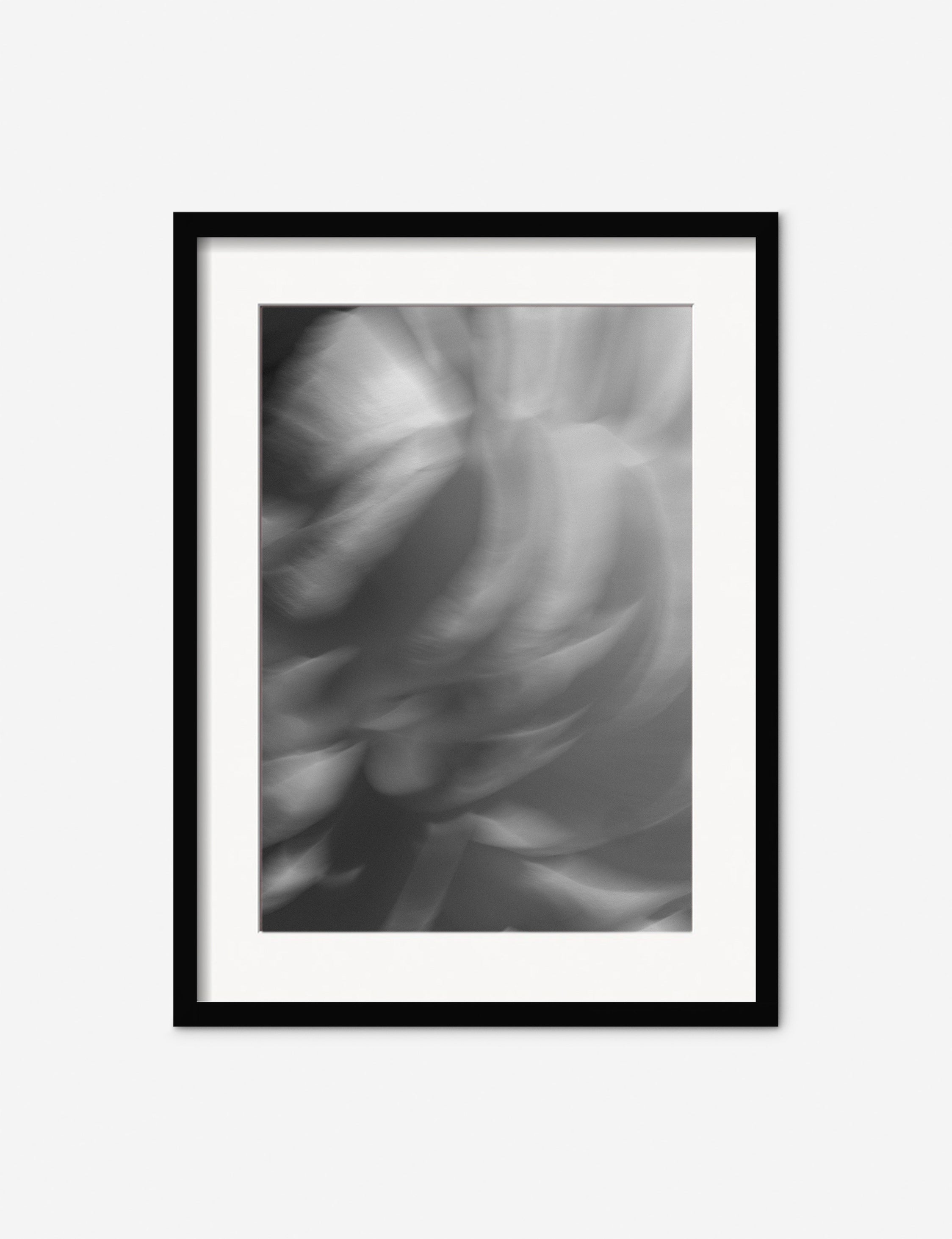 Ranunculus 1 Photography Print by Carley Rudd
