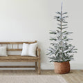 7.5 Flocked Noble Fir Artificial Christmas Tree Unlit