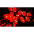Red Led Light String Set Of 70 Lights C6