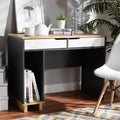 Reed Mid Century Modern 2 Drawer Computer Desk