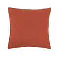 Regent 18 X 18 Pillow