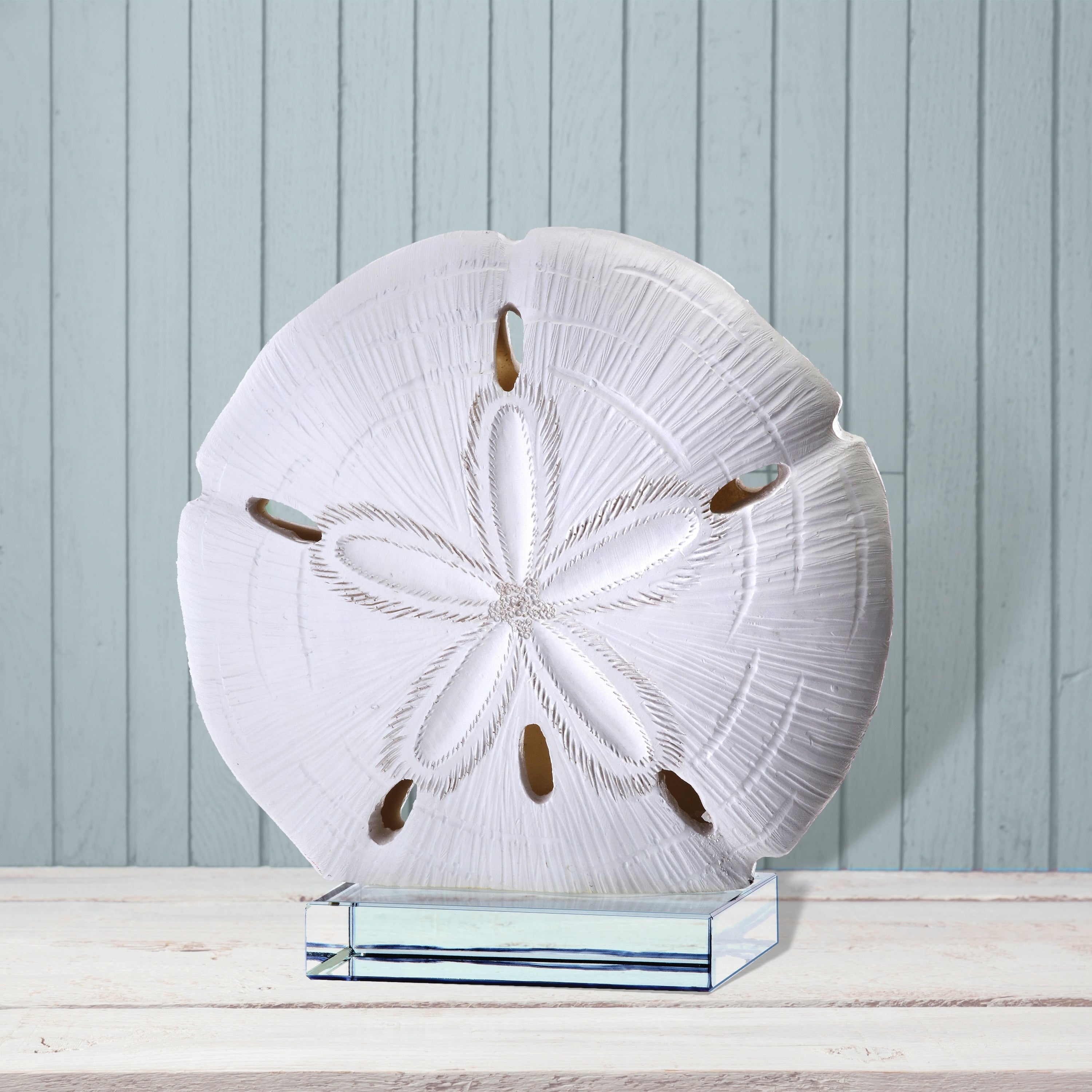 Resin Sand Dollar On Acryl 8