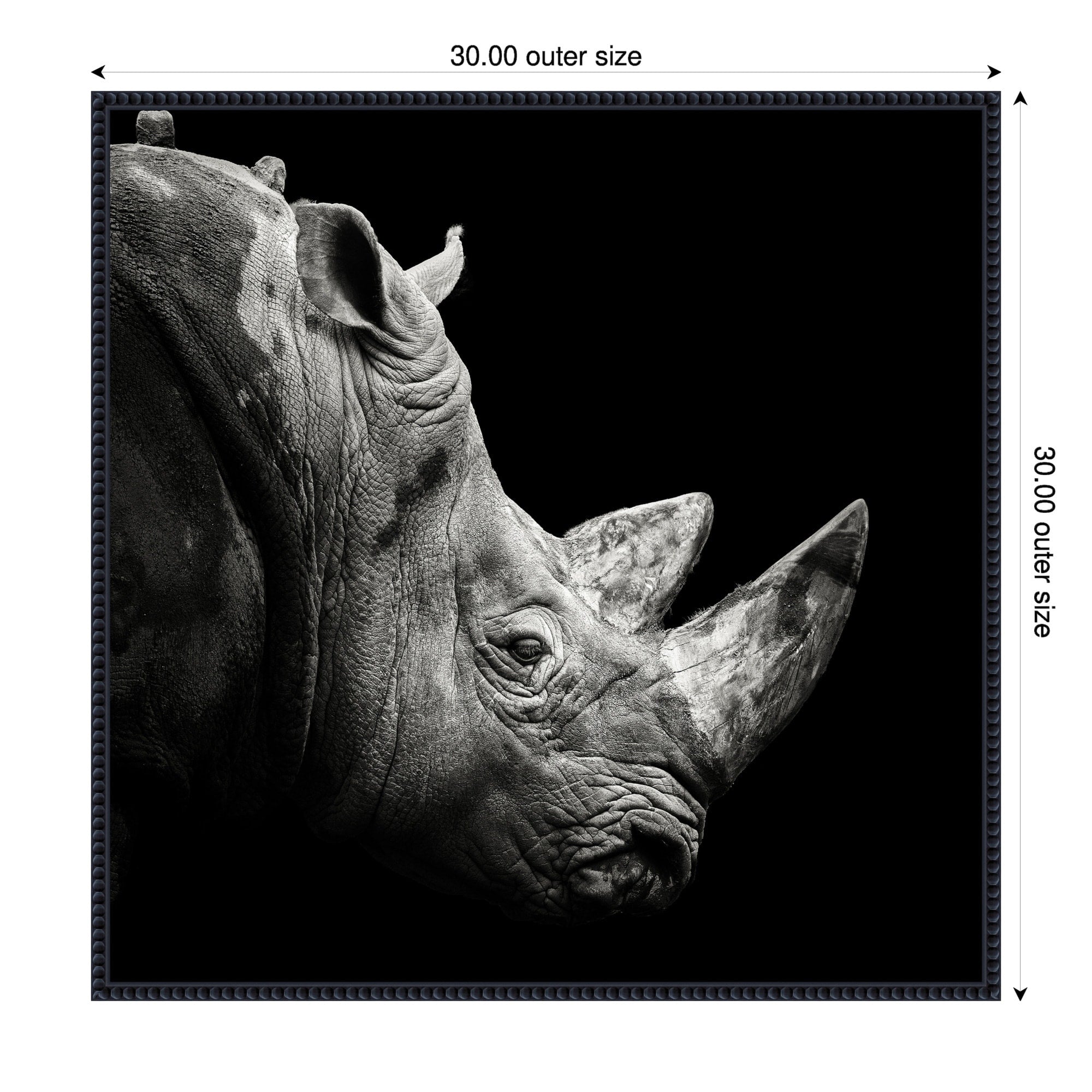 Rhino By Christian Meermann Framed Canvas Wall Art Print