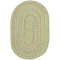 Playful Indoor Outdoor Reversible Braided Rug By Rhody Rug 4 Ft X 6 Ft