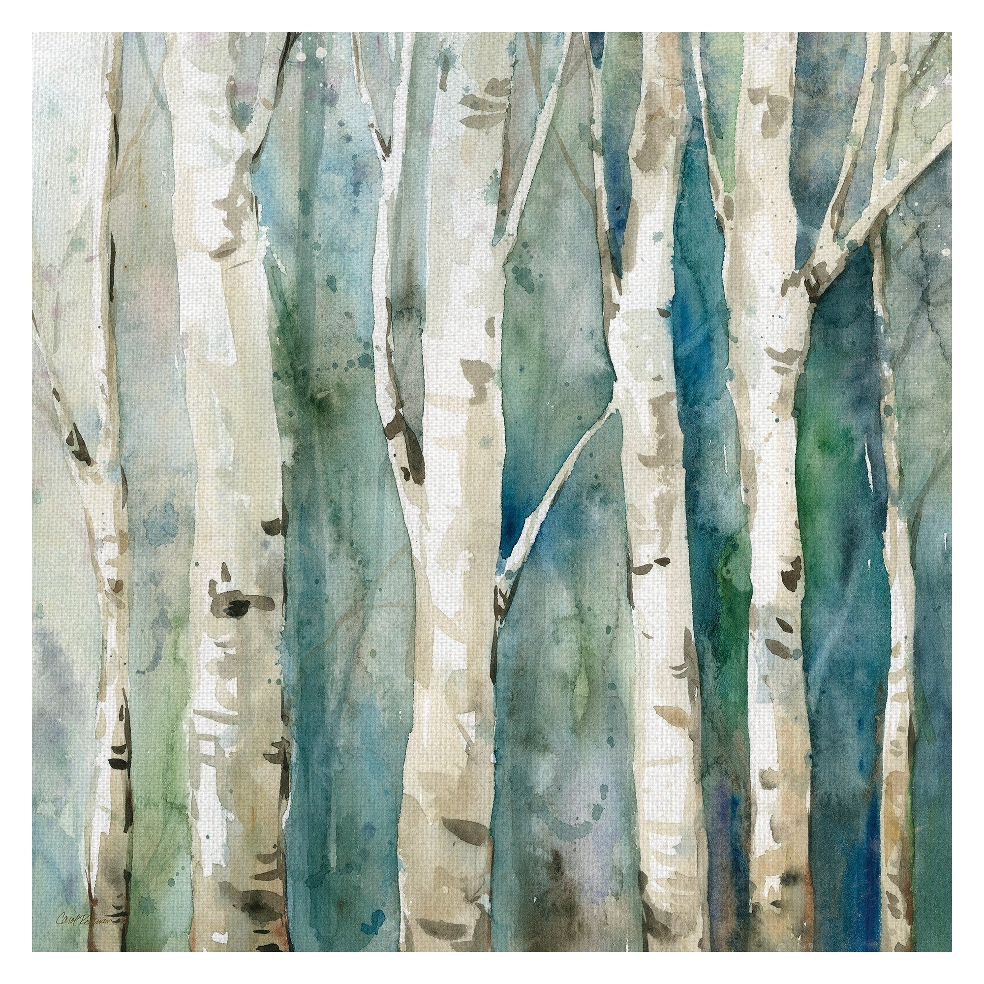 River Birch Trees I By Carol Robinson Wrapped Canvas Painting Art Print