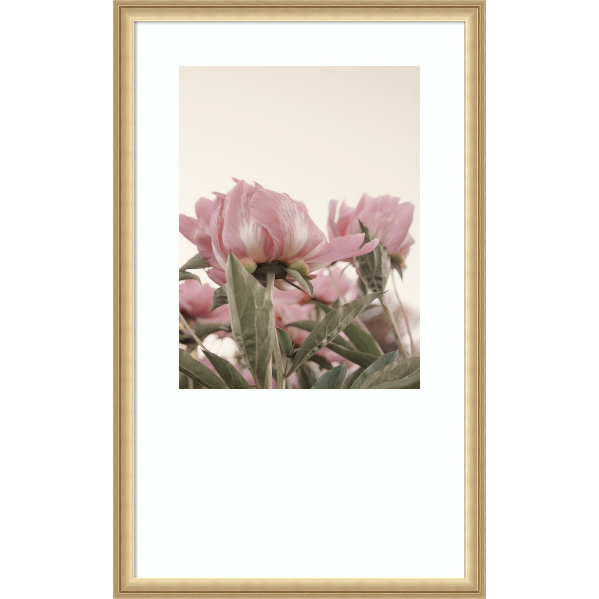 Romantic Nostalgia Peony Blossoms By Stephanie Klatt Wood Framed Wall Art Print