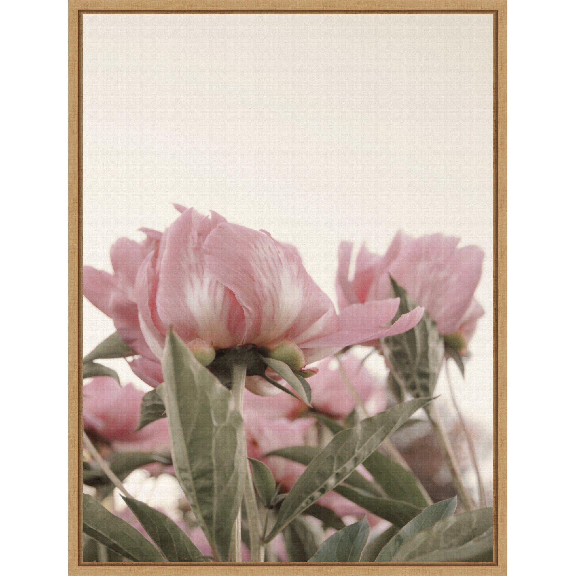 Romantic Nostalgia Peony Floral Blossoms By Stephanie Klatt Framed Canvas Wall Art