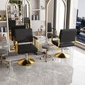 Roomfitters Hydraulic Salon Chair 360 Swivel Styling Chair With Gold Base Professional Barber Equipment Black