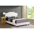 Roomfitters Upholstered Platform Bed Frame With Wingback Nailhead Trim Headboard No Box Spring Needed