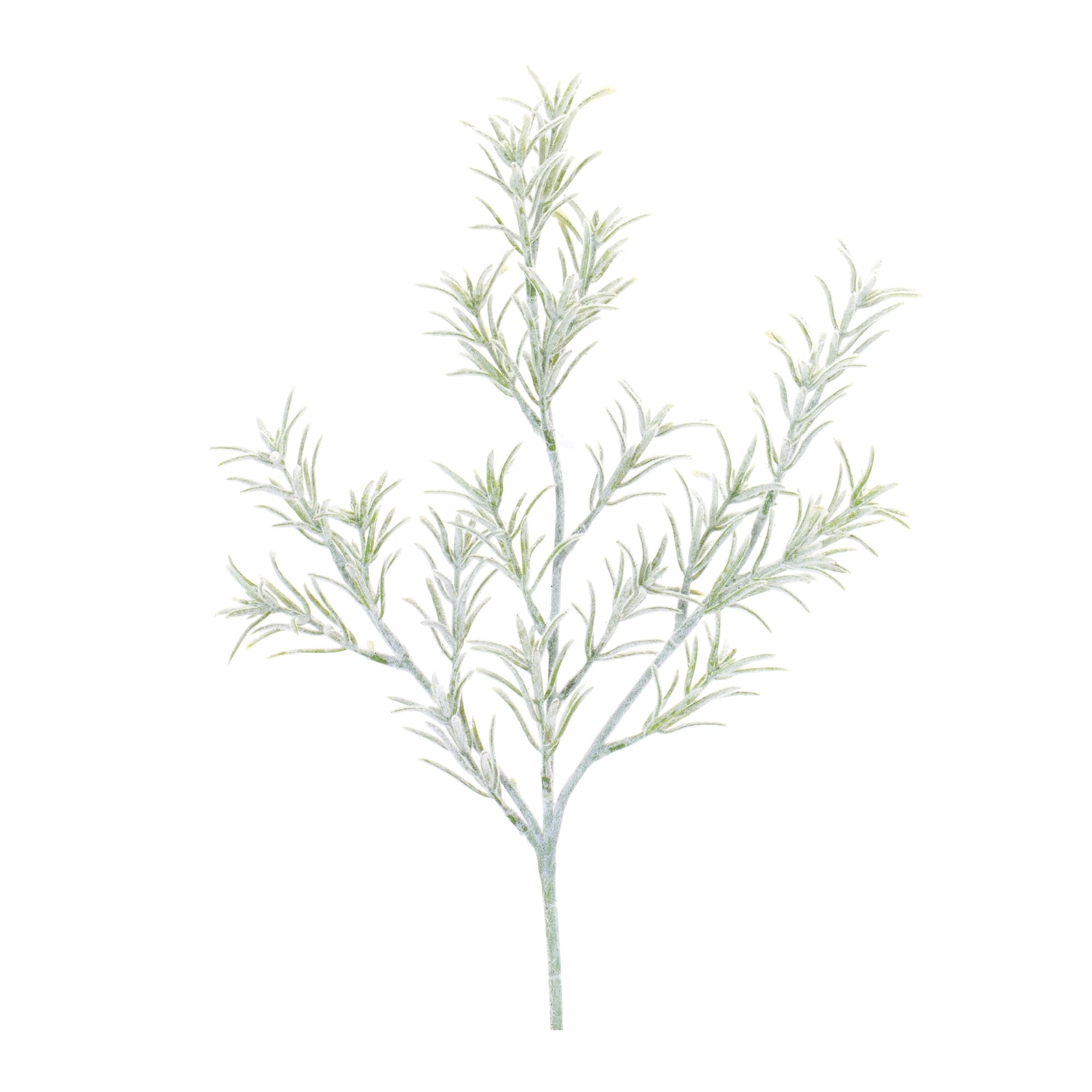 Rosemary Foliage Spray Set Of 6