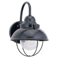 Roseto Calhoun Single Light 11 Tall Outdoor Wall Sconce