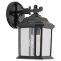 Roseto Cumberland Single Light 12 Tall Outdoor Wall Sconce