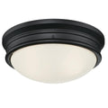 Roseto Fort Saint James 2 Light 13 Wide Flush Mount Bowl Ceiling