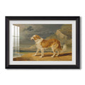 Rough Coated Collie 1809 James Ward Custom Framed Print