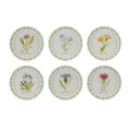 Round Framed Encyclopedia Floral Print Set Of 6