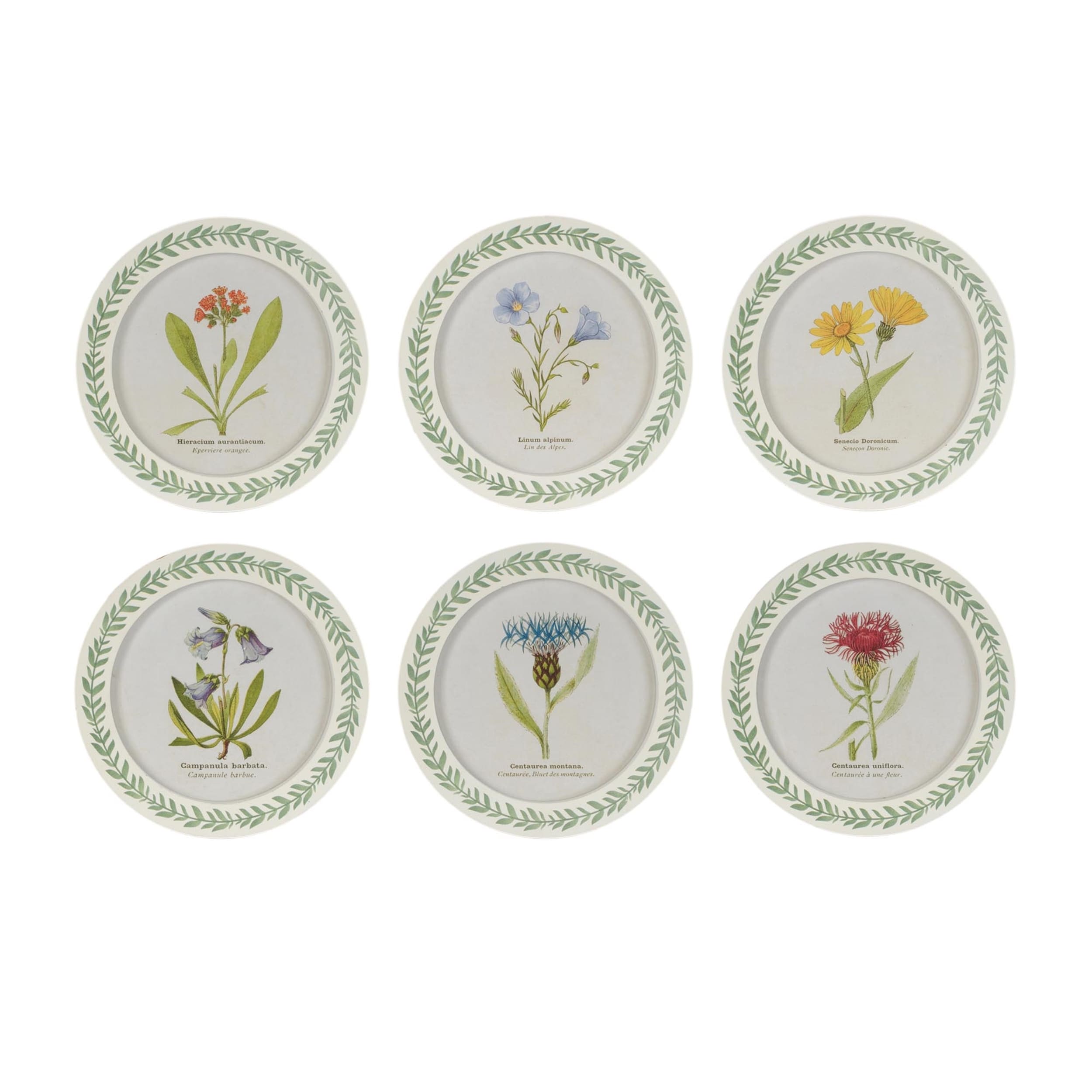 Round Framed Encyclopedia Floral Print Set Of 6