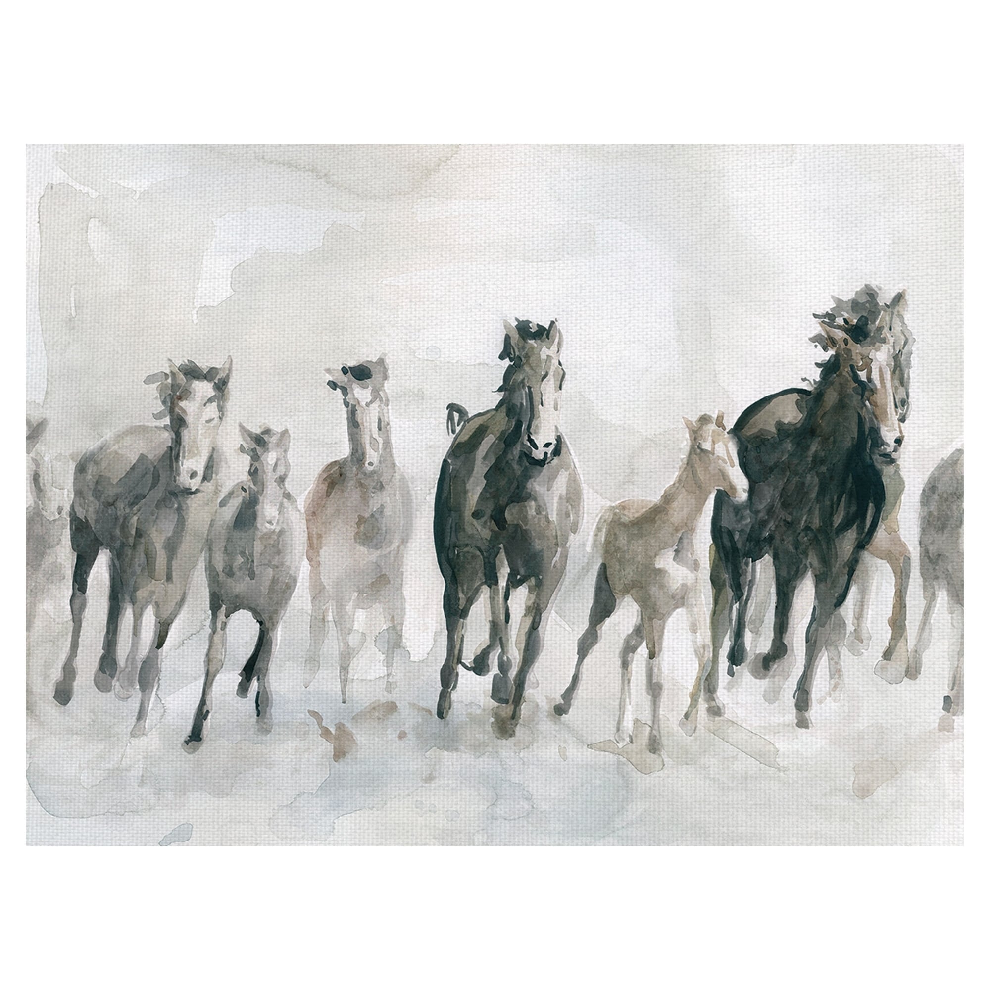 Horses Running Wild By Carol Robinson Wrapped Canvas Painting Art Print