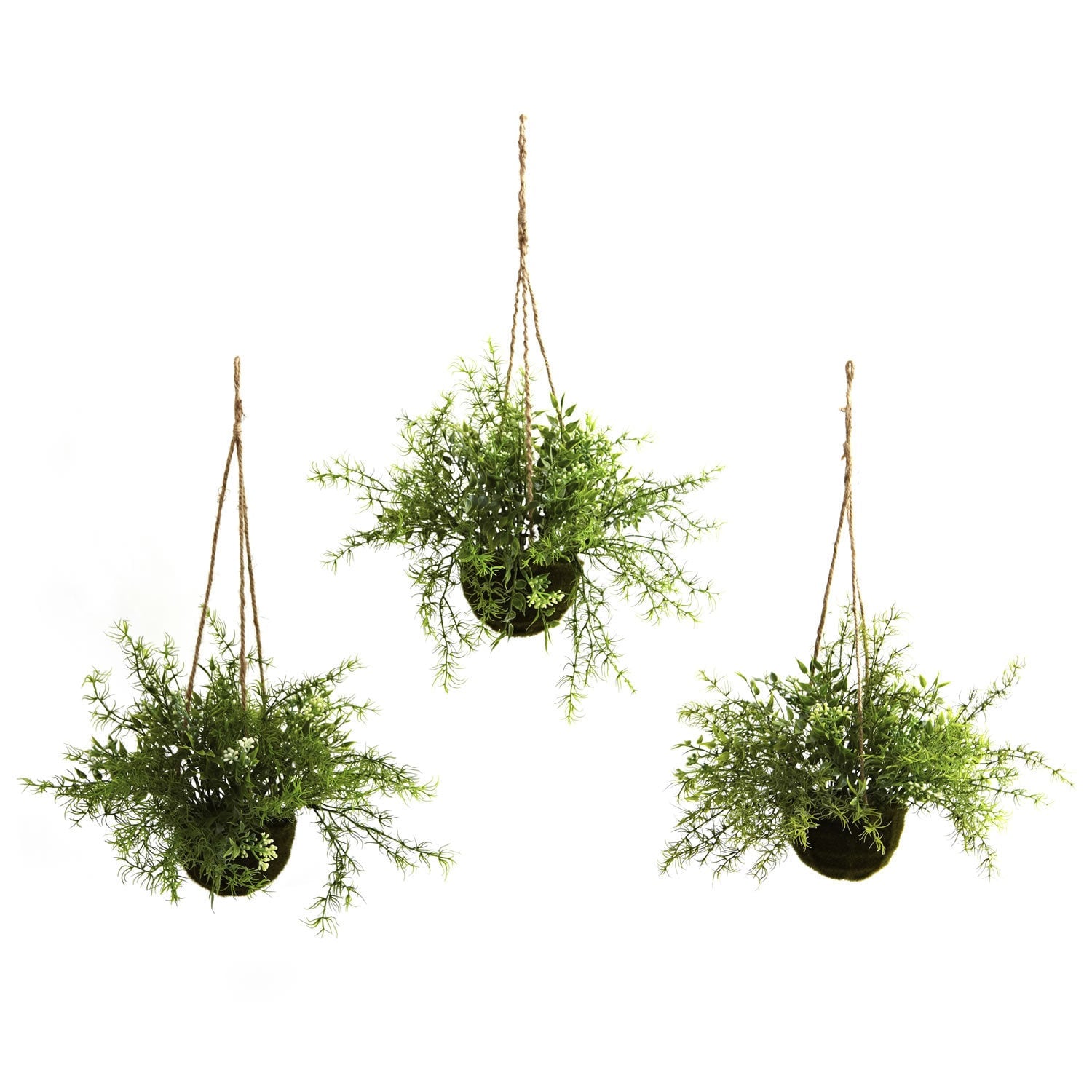 Ruscus And Sedum Hanging Basket Set Of 3