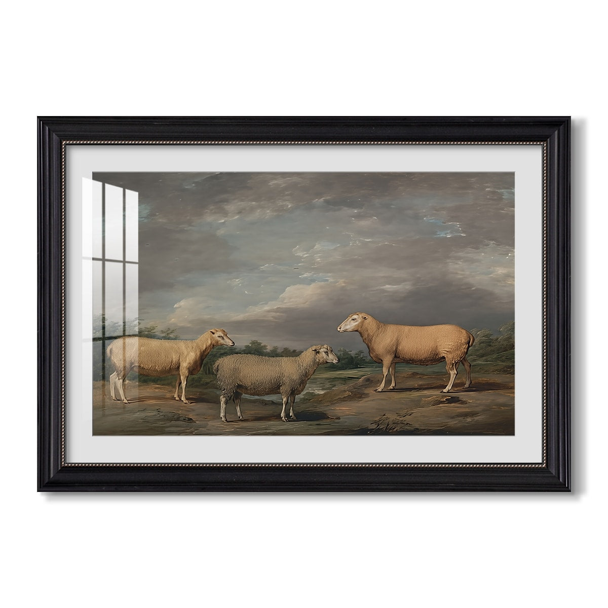 Ryelands Sheep The Kings Ram C 1801 1807 James Ward Custom Framed Print