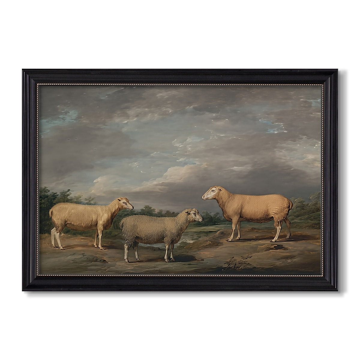 Ryelands Sheep The Kings Ram The Kings Ewe And Lord Somervilles Wether C 1801 1807 James Ward Custom Framed Canvas