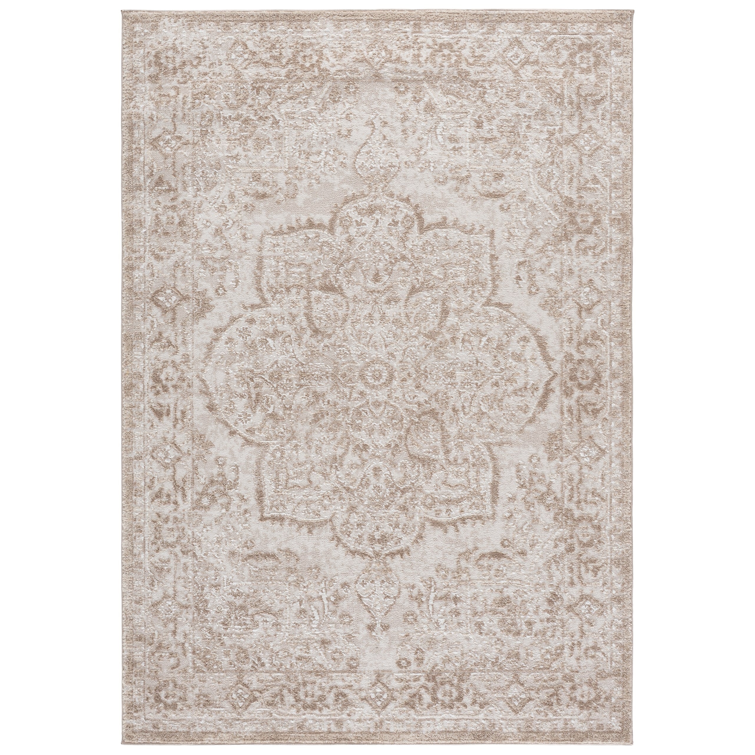 Safavieh Chamber Gaetanina Medallion Area Rug