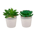 Set Of 2 Artificial Plant Succulent In 3 Dress Icecream Pot One Size