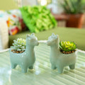 Set Of 2 Artificial Plant Succulent In 5.5 Llama Pot One Size
