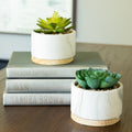 Set Of 2 Artificial Plant Succulent In Marble Finish Ceramic Pot W Wood Base One Size