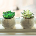 Set Of 2 Faux Succulent In Cylinder Cool Faceceramic Pot One Size