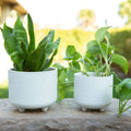 Set Of 2 Hiero Ceramic Footed Planters