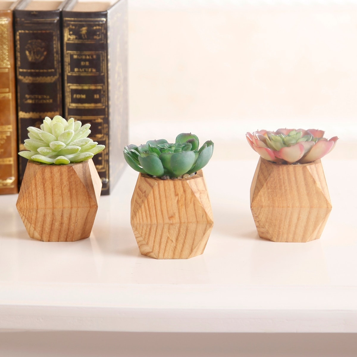 Set Of 3 Faux Succulent In Wood Pot One Size