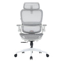 Sihoo B100 Pro Ergonomic Office Chair Lounge Chair Computer Chair Mesh Chair For Home Office Gaming 300Lbs N A