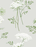 The Queens Lace Wallpaper by Sarah Jessica Parker, Silver Swatch