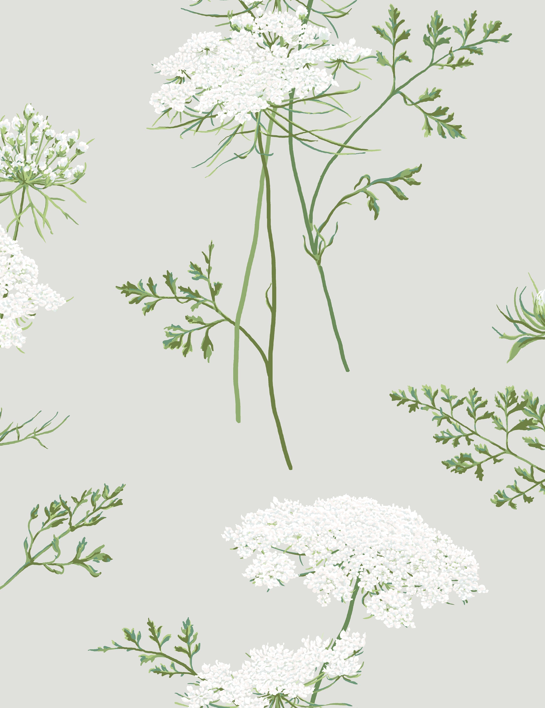 The Queens Lace Wallpaper by Sarah Jessica Parker, Silver Swatch