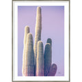 Saguaro Purple Pastel By Nathan Larson Wood Framed Wall Art Print