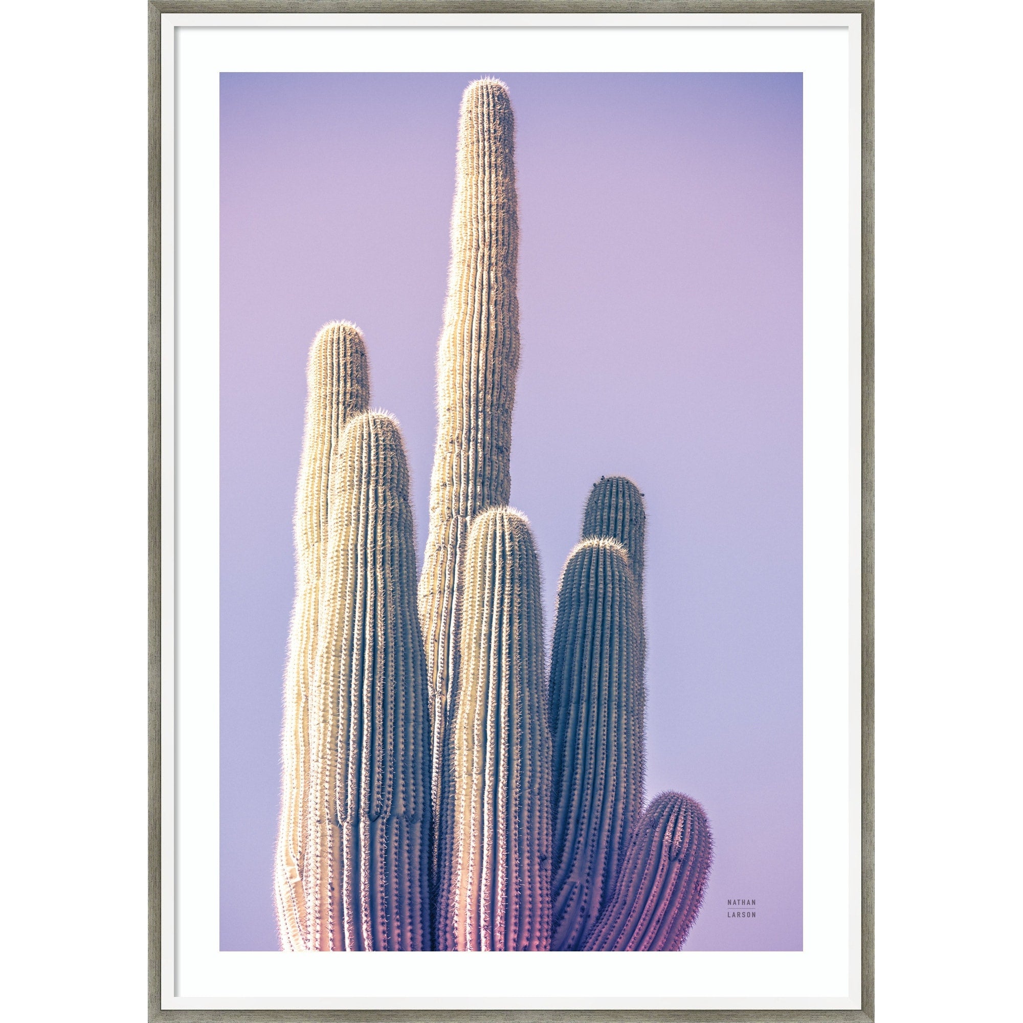 Saguaro Purple Pastel By Nathan Larson Wood Framed Wall Art Print