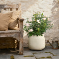 Sahara Stone Planter 12 Round Cement In Desert Beige 11.22 H X 12.01 Diameter