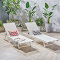 Salton Outdoor Aluminum Chaise Lounge Set Of 2 By Christopher Knight Home