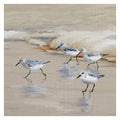 Sandpiper Beach I Amber By Studio Arts Wrapped Canvas Art Multi Color