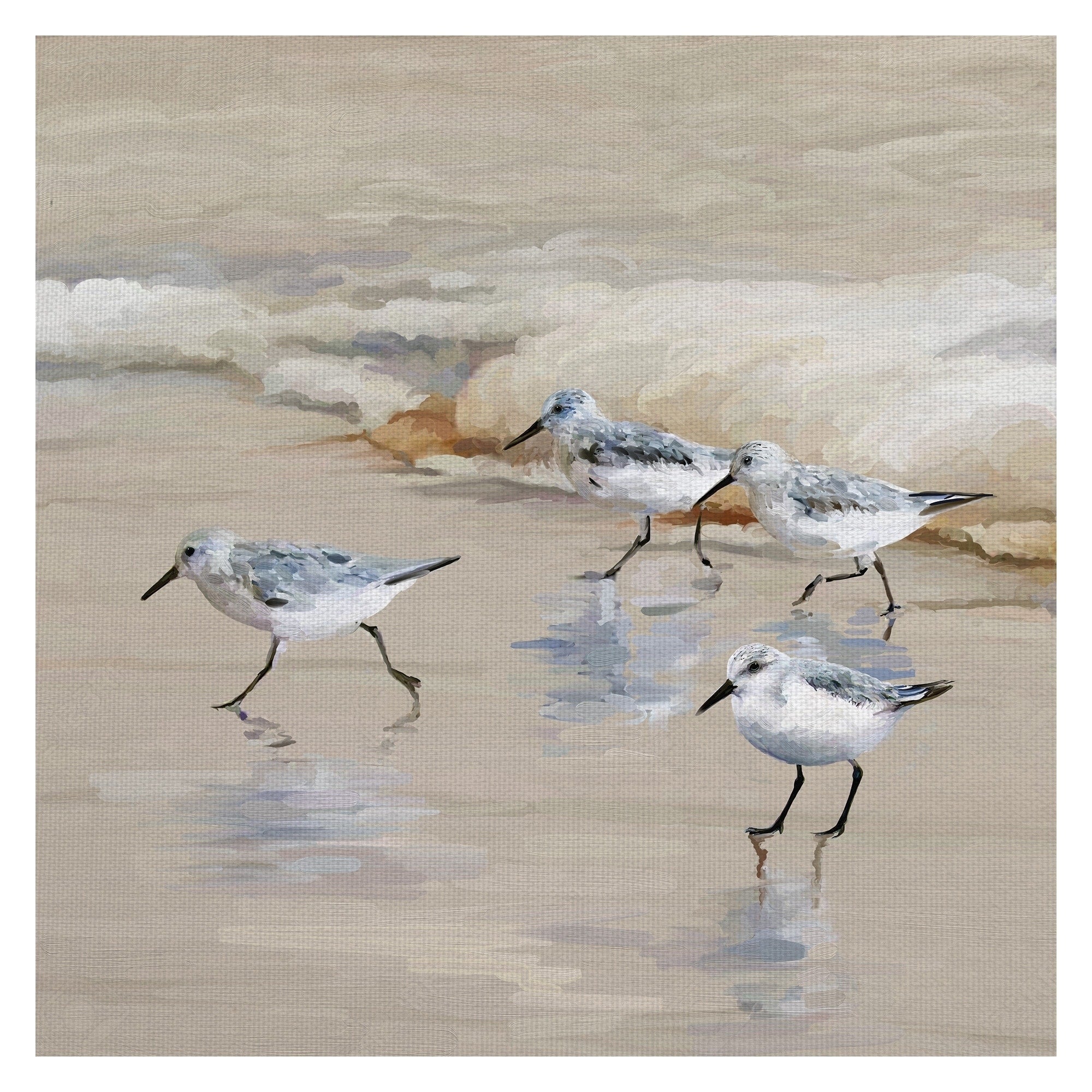 Sandpiper Beach I Amber By Studio Arts Wrapped Canvas Art Multi Color